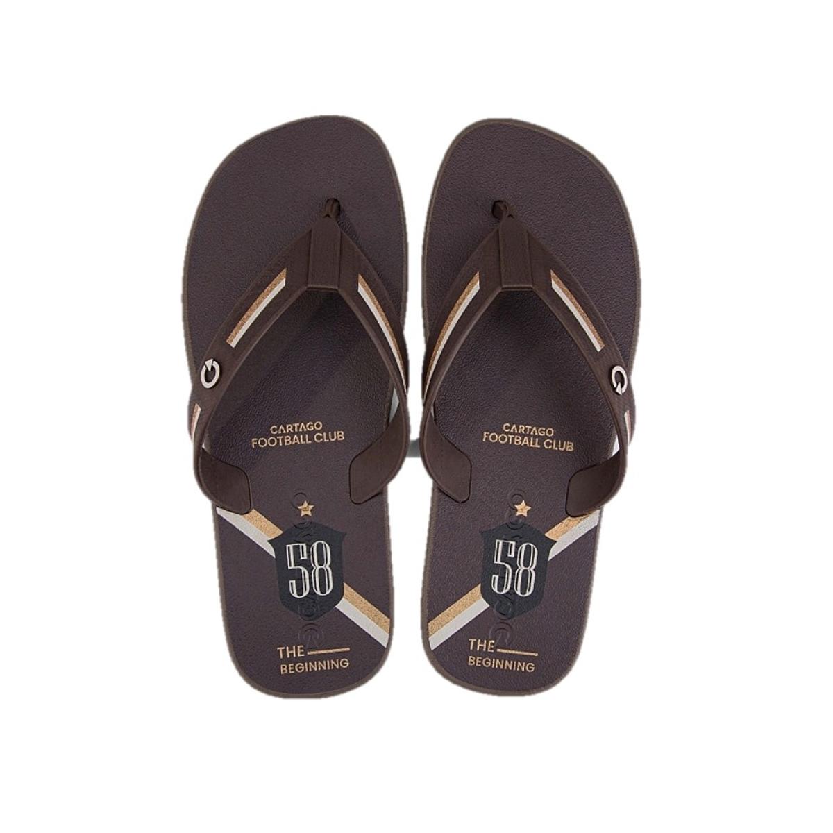 Imagem 3 do produto Chinelo Masculino Detroit Marrom Cartago 